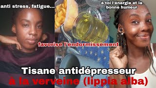 DIY Thé antidépresseur naturel au Verveine contre le stress la fatigue linsomnie [upl. by Dionisio]