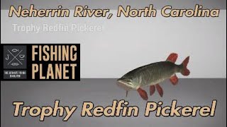 Fishing Planet Trophy Redfin Pickerel Neherrin River North Carolina [upl. by Clere757]