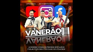 Baile ao vivo  1 hora de vaneira  Grupo Vanerão [upl. by Fidelis]