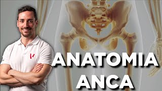 Anatomia dellanca [upl. by Naul]