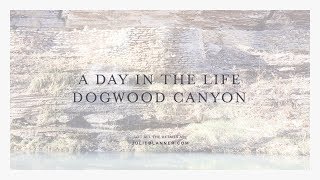 Dogwood Canyon Nature Park Near Branson Missouri [upl. by Kyd510]