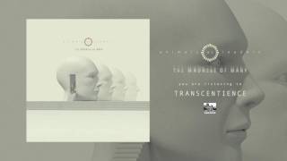 ANIMALS AS LEADERS  Transcentience [upl. by Izaak]