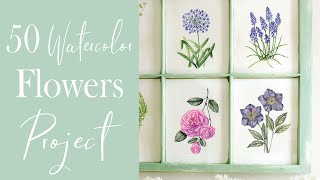 50 Watercolor Flowers Project  Botanical Painting Tutorial [upl. by Jehoash]