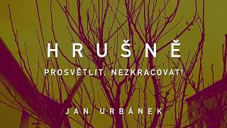 Hrušně – prosvětlit nezkracovat [upl. by Nakasuji]