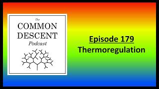 Episode 179  Thermoregulation [upl. by Kcira]