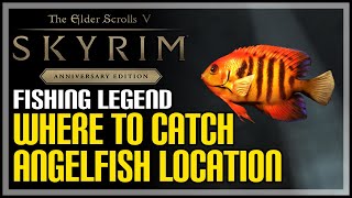 Angelfish Location Skyrim How to Catch Angelfish [upl. by Ellivnarg]