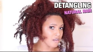 How To Detangle MATTED amp TANGLED Natural Hair WITHOUT Ripping It Out [upl. by Pazice]