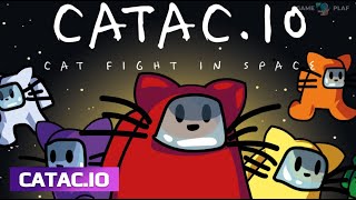 Catacio Game Review  Walkthrough [upl. by Eeramit]