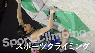 東京五輪 競技解説動画～スポーツクライミング編 [upl. by Kcirad383]