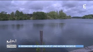 A Seignosse un étang noir et une nature magique [upl. by Ulland475]