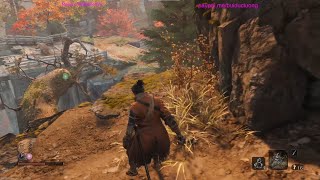 Epic Boss Fights in Sekiro Taking Down the Hardest Enemies 11 [upl. by Hauge645]