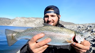 Fishing for big rainbow trout in lake Roosevelt [upl. by Smail]