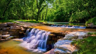 Welcome to Dogwood Canyon Nature Park [upl. by Connors329]