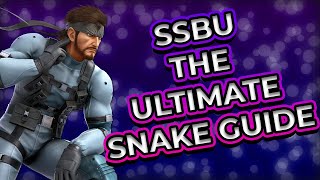 The ULTIMATE Snake Guide [upl. by Ahc]