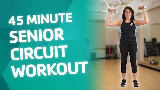 45 Minute Senior Circuit Workout [upl. by Eniagrom823]