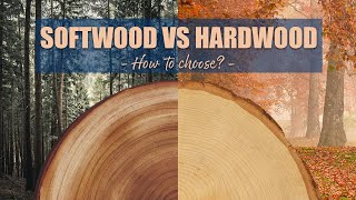 Softwood vs Hardwood  How to choose for WOODWORKING projects [upl. by Dadivitan]