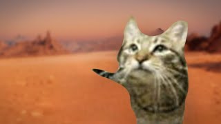 MeowSynth Cats on Mars [upl. by Kotto]