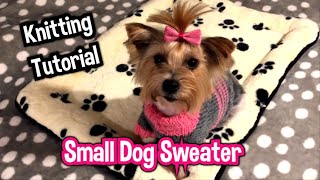 How To Knit A Small Dog Sweater 38kg Knitting Tutorial [upl. by Thay564]