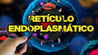 Qual É a Função do Retículo Endoplasmático Eu te Explico 14  Biologia com Patrick Gomes [upl. by Ellett]