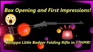 The Smallest Survival Rifle Chiappa Little Badger [upl. by Leonie616]