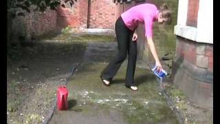 Removing moss with soda crystals [upl. by Ilaw]