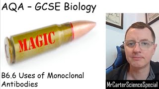 B66  Uses of Monoclonal Antibodies  AQA Biology GCSE 91 [upl. by Januisz]