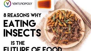 All Things Bugs The Future Of Food And Bill Gates Nuclear Reactor [upl. by Bridges]