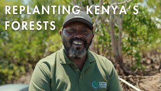 Tentsile amp EarthLungs Are Reforesting Kenya [upl. by Egag902]