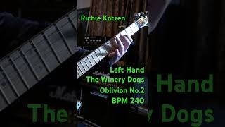 The Winery Dogs  Oblivion No2 240 Right Richie Kotzen guitar ギター telecaster emg テレキャス helix [upl. by Lief]