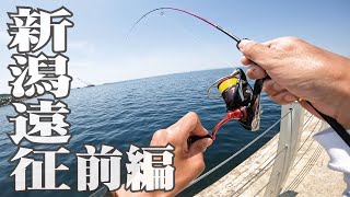 初夏の新潟に40cmのアジ釣りに来た 第17回アウトドア部第1部【アジング】 [upl. by Naletak889]