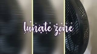 lunate zone [upl. by Nyladnek724]