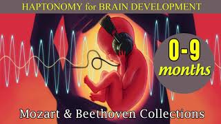 ❤ Music for Brain Development amp Intelligent ❤ Music for Unborn amp Newborn Baby ❤ [upl. by Chiquia]