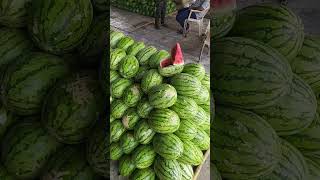 A p m c fruit market vasi aaj ka rate 28 hai mo 8528067185 [upl. by Jeffers]