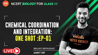 Chemical Coordination and Integration EP1  ONE SHOT  NCERT Biology Class 11  Vedantu [upl. by Virginie]