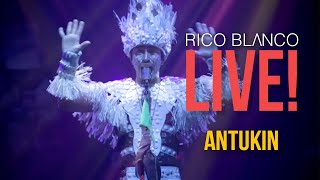 Rico Blanco  Antukin  Live [upl. by Hennessy624]