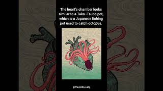 Takotsubo🐙 echocardiogram echocardiography Takotsubo Cardiomyopathy Cardiology [upl. by Tor]