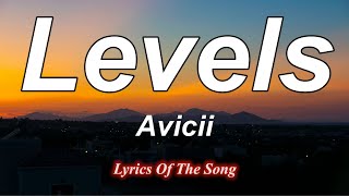 Levels  Avicii Lyrics [upl. by Tegdig]