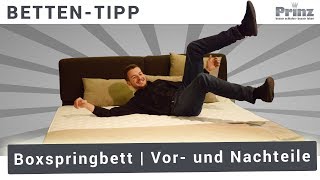 Boxspringbett kaufen  4 Vorteile von Boxspringbetten WICHTIG😃💤 [upl. by Rieger]