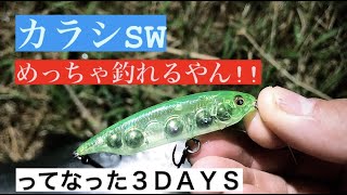 カラシSWめっちゃ釣れるやんってなった３DAYS [upl. by Matthieu931]