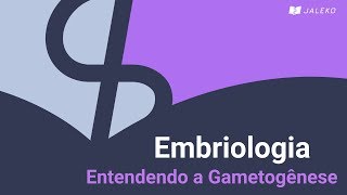 Embriologia  Entendendo a Gametogênese [upl. by Jankey269]