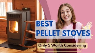 Best Pellet Stoves 2024  Only 5 Worth Considering [upl. by Keener]