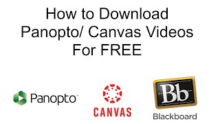 How to Download Canva Video [upl. by Olzsal]