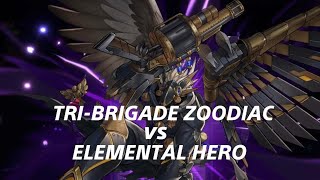 YuGiOh Master Duel  Tribrigade Zoodiac vs Elemental Hero [upl. by Ushijima]