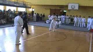 Kyokushin vs Shidokan [upl. by Eilesor]