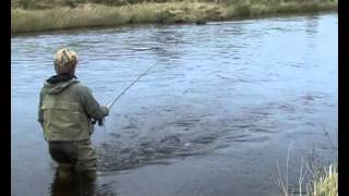 Salmon Fishing in Scotland Marnoch Lodge self catering cottages on the River Deveron [upl. by Oiznun446]