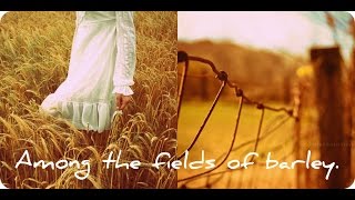 Sting amp The Police  Fields of gold lyrics HQ [upl. by Mya]