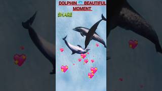 3 baby dolphin 🐬🐬🐬 amazing love 💕 moment dolphin trendingshorts shortsfeed [upl. by Camm]