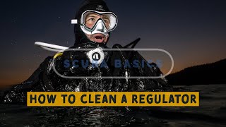 Scuba Diving Basics How To Clean Your Regulator [upl. by Emlyn]