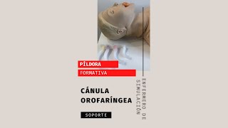 A Cánula orofaríngea [upl. by Erhard341]