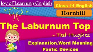 The Laburnum Top in Tamil  Line by Line  Poetic Devices  Ted Hughes  CBSE Class 11 [upl. by Gayner752]